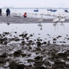 海边风景